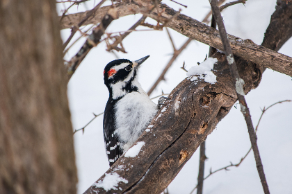 青青青免费不卡在线视频