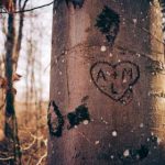 国产粗刺激对白 ws2bq