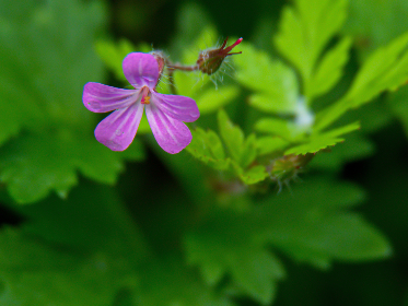 YouTube Google：探索如何利用YouTube提升你的Google搜索排名